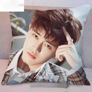 菲典森任嘉伦应援个性双面周边抱枕靠垫朋友生日礼物4新图0950x50cm