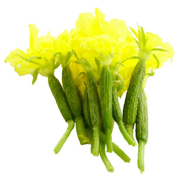 新鲜小黄瓜花 小青瓜迷花 迷你黄瓜花 沙拉西餐配菜 6斤