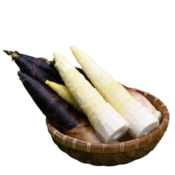 新鲜雷笋现挖小雷竹笋油焖笋野生腌笃笋冬笋春笋蔬菜 1.5kg