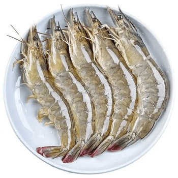 瑃蔻睿青岛大虾活虾船冻口感鲜甜超大基围虾青虾特大号大对虾 虾8斤