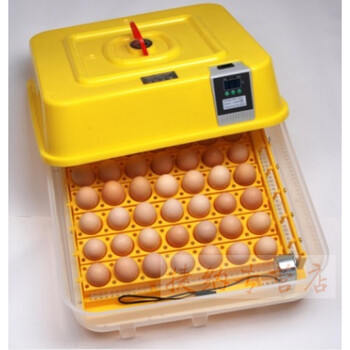 全自动孵化器6枚9枚60型家用微型孵蛋器鸡鸭鹅鸽子鸟蛋家禽孵化机 96