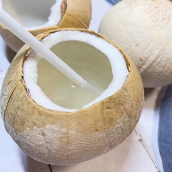 白衣鲜人 海南牛奶椰皇6个装 新鲜当季水果香甜多汁椰宝三亚椰青 生鲜