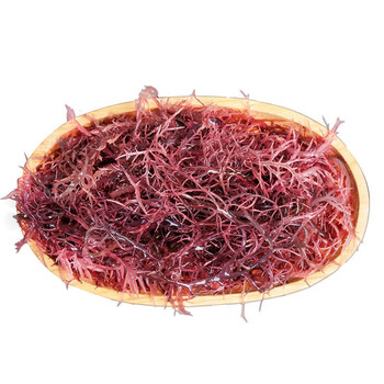 博多客 新晒冰藻 新鲜冰藻干货 凉拌菜 海草龙须菜 海藻石花菜 1000g