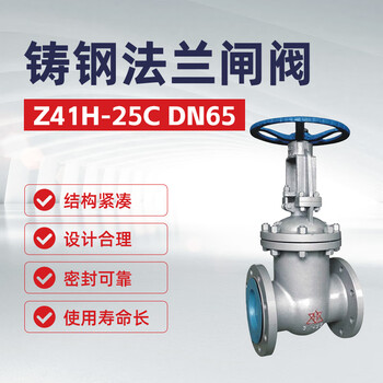 双恒 铸钢法兰闸阀Z41H-25C  DN65【1台】油库加油站油料化工器材