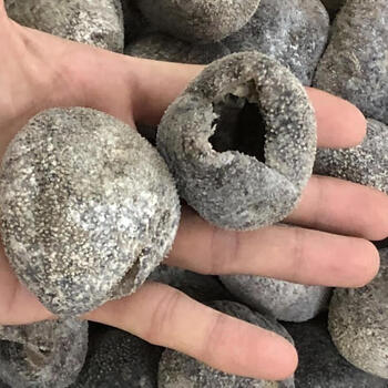 特级 大连淡干海参干货野生500g干海渗鲜活海生非即食 美国球参一斤约