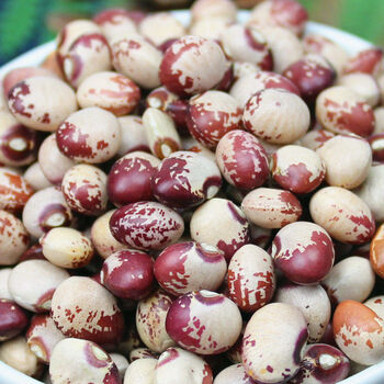 熊猫豆新货 农家自产奶小花芸豆 猫眼豆花缸豆饭豆豆类杂粮粗粮 熊猫