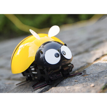 仿生七星瓢虫抖音同款遥控儿童玩具智能感应摇控仿生 黄色-预售订单