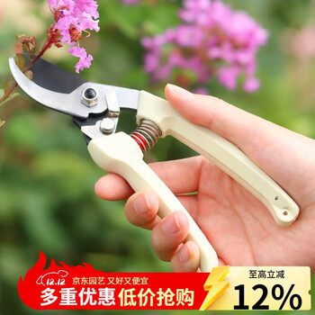 生长魔励 家用园艺剪刀高碳钢修枝剪花卉绿植细枝剪花艺剪粗枝剪果树剪 修枝剪ZMB1003
