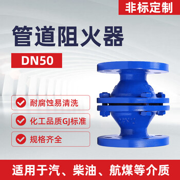 蓝宇星琳管道阻火器 呼吸阀阻火器GZW-I-50-16阻火阻爆 碳钢DN50