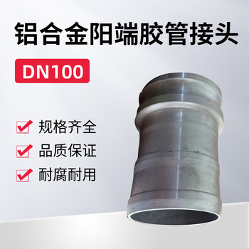 蓝宇星琳 3611铝合金阳端胶管接头DN100 1个