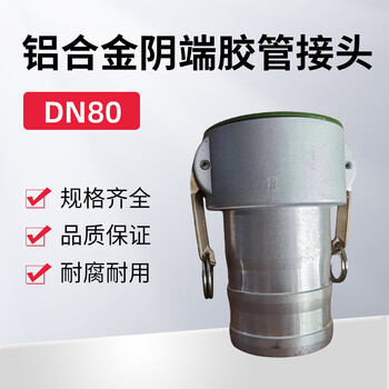 蓝宇星琳 3611铝合金阴端胶管接头DN80 1个