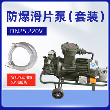 军华 防爆滑片泵抽油泵输油泵DN25 1寸 220V （套装）10米出油管，5米电缆线 油库油料器材