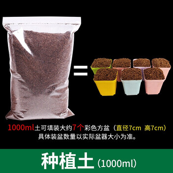 轩林美 Xuanlinmei 多肉型植物营养土适用于多肉植物疏松透气排水保水有机营养土1000ml 图片价格品牌报价 京东