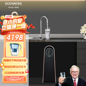 怡口净水（ECOWATER）净水器家用直饮厨房台下RO反渗透纯水机大流量省空间改善口感ERO265-3自营600G