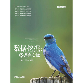 大数据时代的R语言·数据挖掘：R语言实战pdf/doc/txt格式电子书下载