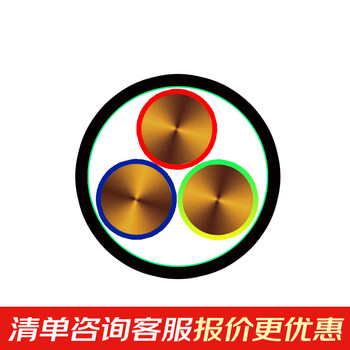 远东电缆 YCW 3*2.5户外移动用重型橡套软电缆 1米【有货期50米起订不退换】