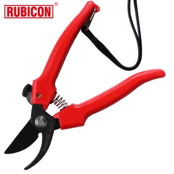 罗宾汉（RUBICON）RPS-727 专业树枝剪园林剪刀果树花枝家用修枝剪园艺剪刀