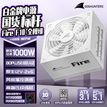 长城（Great Wall） Fire白金全模组电源 台式机主机电源/自动启停 F10白金全模白色ATX3.1（额定1000W）