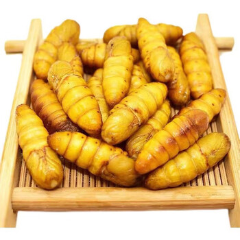 堂家巷子蚕蛹新鲜金丝蚕蛹山东特产农家原味顺丰冷链直发 金丝蚕2斤