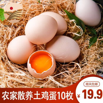 童仙子农家散养土鸡蛋现捡新鲜谷物虫草蛋乌鸡蛋 顺丰 10枚装（顺丰）
