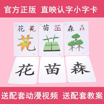 直映认字正版教材卡片有图识字1500字幼儿童早教启蒙认字卡0