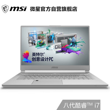 ΢(msi)P65 15.6ӢᱡƱʼǱ(Ӣضi7 8G*2 256G SSD GTX1050Ti ָʶ)
