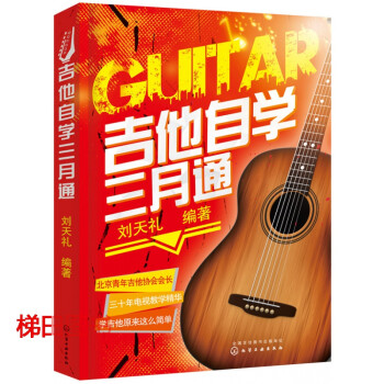 The Classical Guitar 書籍 美術-