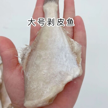 耗兒魚馬面魚冷凍橡皮魚新鮮剝皮魚扒皮魚香辣火鍋順鑫貝大號5斤3038