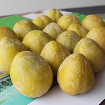 炎之梦湖南炎陵奈李礼盒装黄金柰李时令生鲜水果 顺丰空运 5斤装