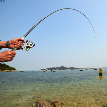 新品2.1米迷你鋼筆釣魚竿便攜漁輪線盤餌鉤浮球短海杆拋竿套裝 黑2.