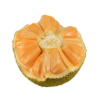 海南越南红肉菠萝蜜引进品种泰八干苞一整个现摘现发农产品精选 24-26