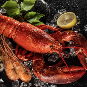 8斤 新鲜海鲜波龙澳龙冷冻大红龙 生鲜