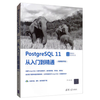 PostgreSQL 11从入门到精通(视频教学版)（数据库技术丛书）