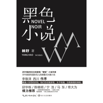 黑色小说 杨好 电子书下载 在线阅读 内容简介 评论 京东电子书频道