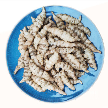 2021新鲜地环菜 螺丝菜宝塔菜地牯牛地葫芦甘露子 3斤