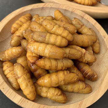 玉笥堂2022年新鲜蚕蛹金丝蛹活体速冻桑蚕蛹黄金蛹金蝉蛹4斤装料包