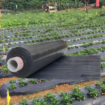 匠心京选 黑地膜 1s厚2m宽 约450平/卷 黑地膜农用黑膜白膜果园除草防