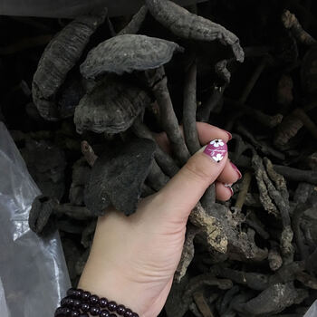 野生灵芝野生黑肉假芝野生假芝黑肉假芝 野生黑芝 野生乌芝500克 芝