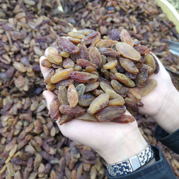 大颗粒红香妃葡萄干 香妃王超大无500g 精选红香妃1斤 精选绿香妃1斤