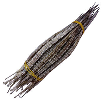 海龙干货50克正宗新晒大海龙大六角海龙鱼 海产干货中药材泡酒料 海龙