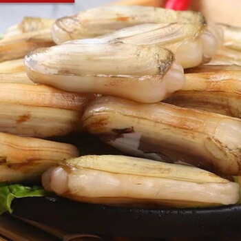 鲜活蛏子蛏海蛏子新鲜天然无污染活发带壳大蛏子竹节蛏五斤囎一斤