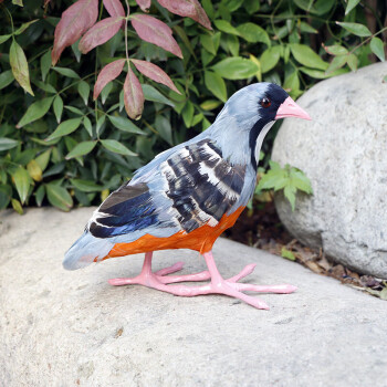 仿真鳥類標本類動物標本黃鸝綠鳩啄木鳥伯勞鳥雀掛燕羽毛鳥類裝飾擺件