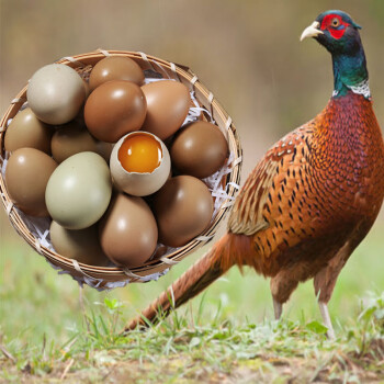 御农优品 新鲜彩色鸡蛋七彩山鸡蛋 山养七彩山鸡蛋农家土鸡蛋 60枚装