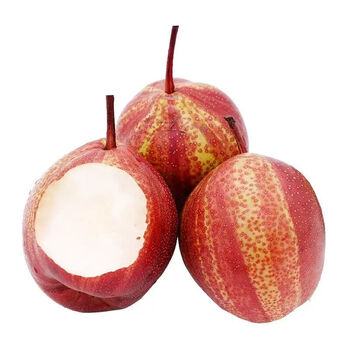 【稀有】正宗陕西彩虹梨大果紫皮整箱混装当季大个新鲜批发 净重3斤装