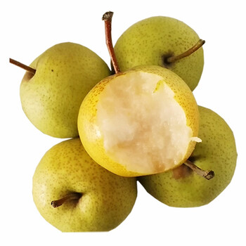 正宗细皮酸梨安梨新鲜多汁窖藏大酸梨冻梨5斤装