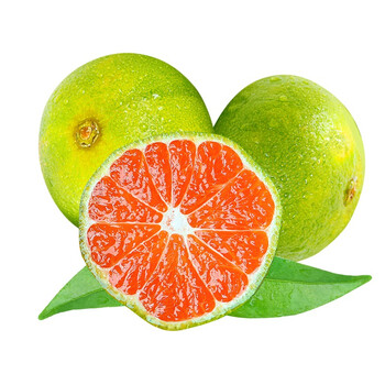 云南青皮桔子蜜桔蜜橘子小柑橘整箱应季时令水果孕妇水果 5斤装