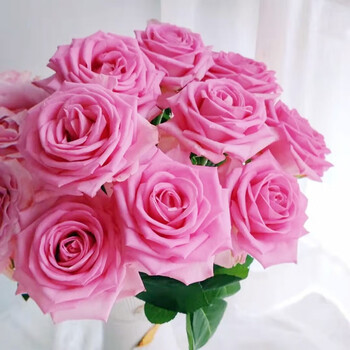 束家用水养冷链保鲜每周一花全国速递送女朋友生日礼物 20朵苏醒玫瑰