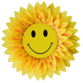 道具手花太阳花幼儿园演出运动会入场开幕式 双层22厘米笑脸花心2个