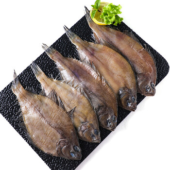 初鲜 冷冻野生海捕偏口鱼(鲽鱼)500g 3-5条 整条袋装 自营海鲜水产
