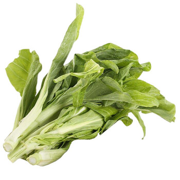 香馜新鲜白菜苔 绿菜薹 农家自种青菜苔 白菜心 现摘现发 3斤